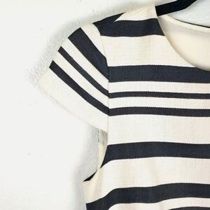 J Crew 4 tall dress (cream/dark grey)